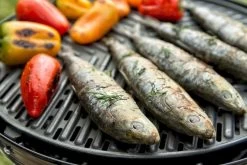 CADAC Grillo Chef 40 Gasbarbecue - BBQ 23 CADAC Grillo Chef 40 Gasbarbecue - BBQ -Winkel Voor Kampeerartikelen Voor Buiten 900 1348 grillo chef 40 bbq grid 1