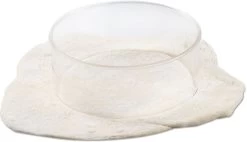 Bestron Pizza Gourmetset - 6 Personen 18 Bestron Pizza Gourmetset - 6 Personen -Winkel Voor Kampeerartikelen Voor Buiten bestron pizzaoven 6 personen 4