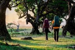 Osprey Renn Backpack - 50 Liter - Paars -Winkel Voor Kampeerartikelen Voor Buiten osprey rennrook 4